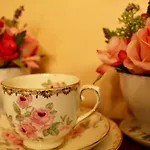 Silver Birch B&B