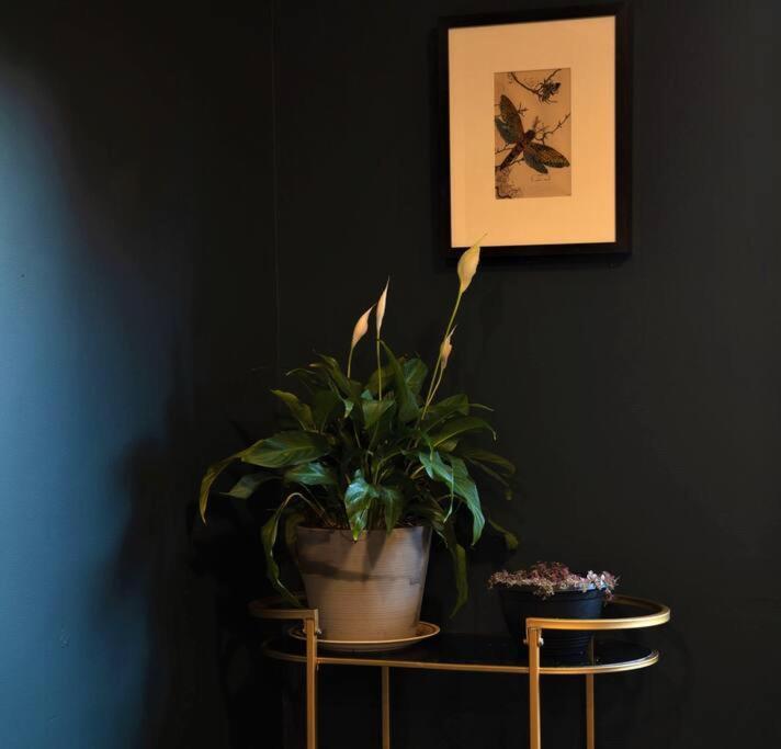 Holiday home Allawa- & Cosy Art Deco Ballarat