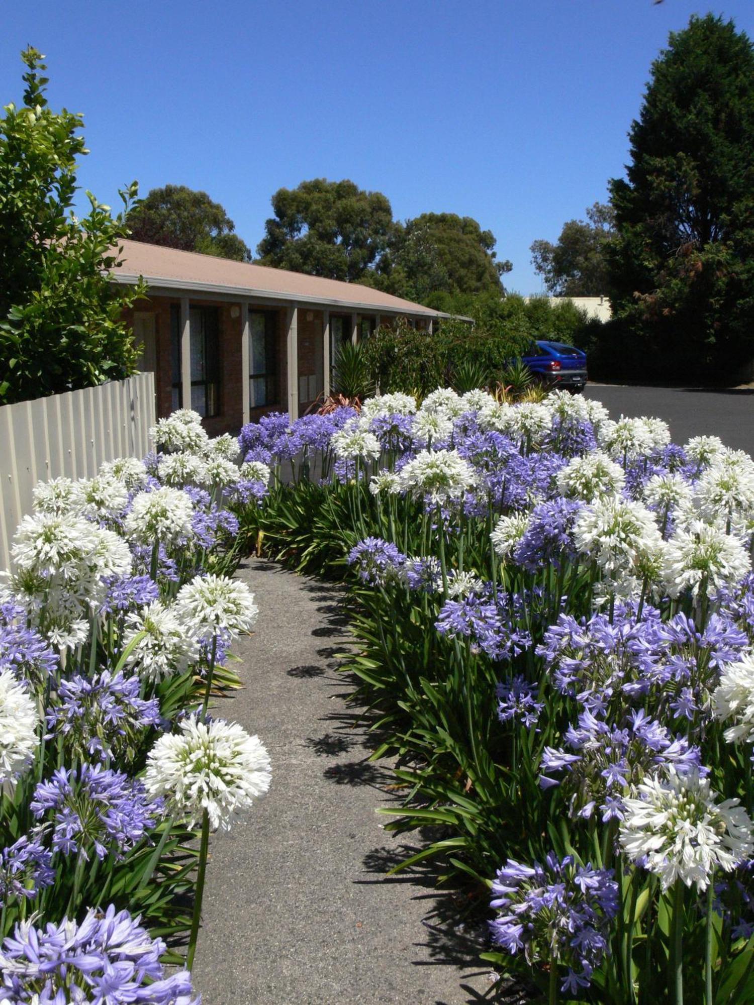 Begonia Motor 3* Ballarat