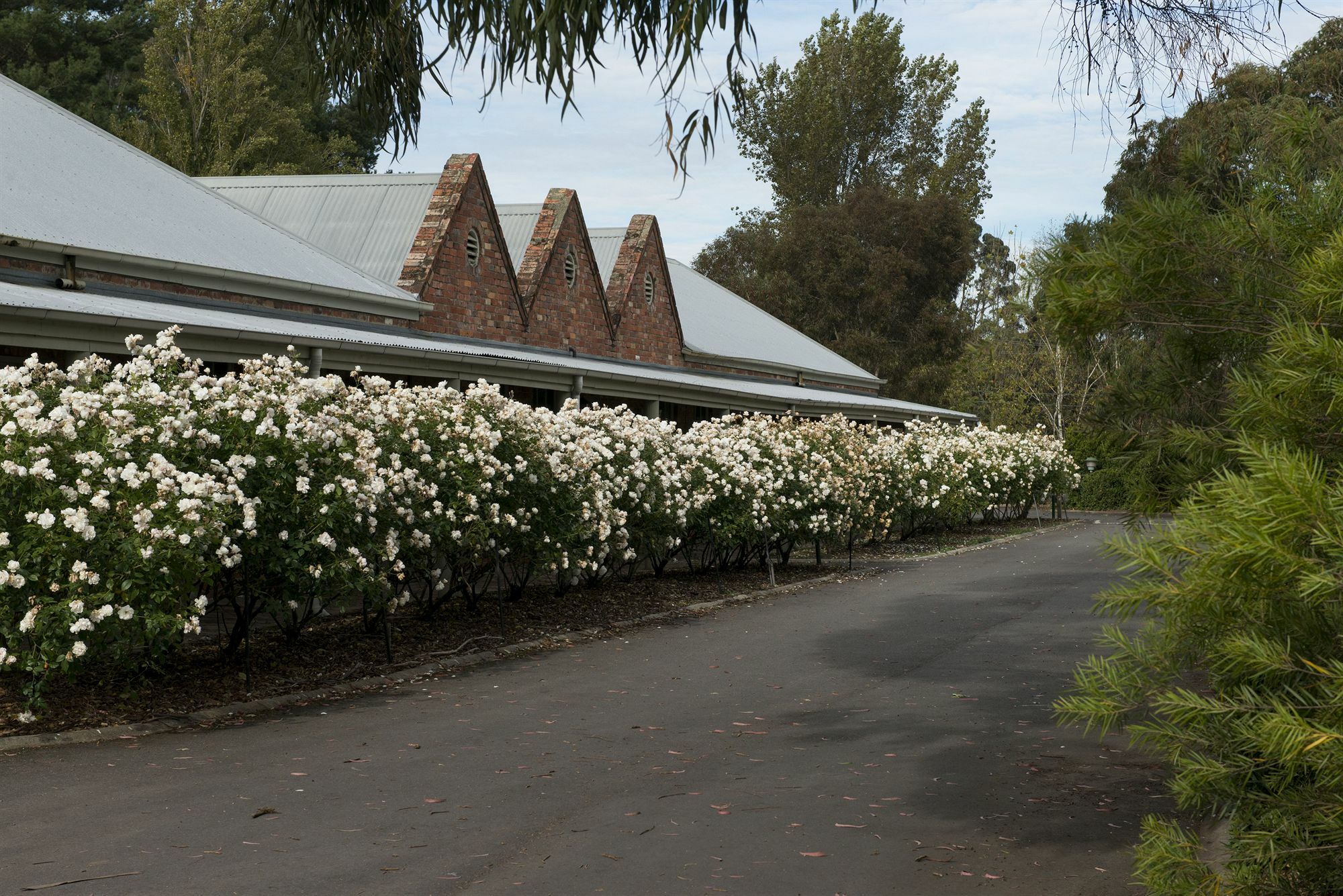 Mercure & Convention Centre