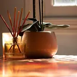 Rapunzels Cottage 1Br Fairytale Studio Stay